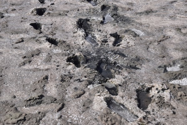 Traces of human feet in the salt lake of mud. Taman, Krasnodar Krai, Russia