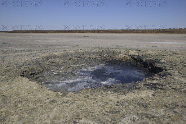 Source vents mud at the bottom of a dried-up salt lake. Taman, Krasnodar Krai, Russia