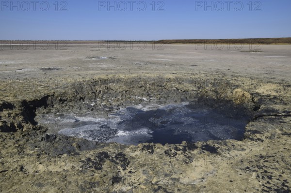 Source vents mud at the bottom of a dried-up salt lake. Taman, Krasnodar Krai, Russia