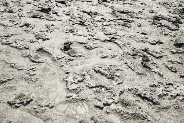 The crust of salt on the bottom of the curative mud dry lake. Taman, Krasnodar Krai, Russia