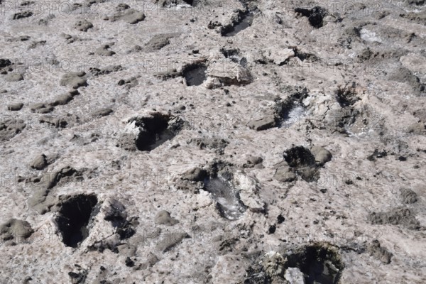 Traces of human feet in the salt lake of mud. Taman, Krasnodar Krai, Russia