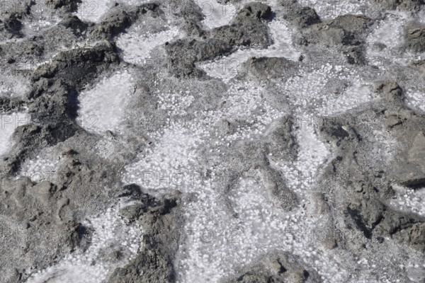 The crust of salt on the bottom of the curative mud dry lake. Taman, Krasnodar Krai, Russia