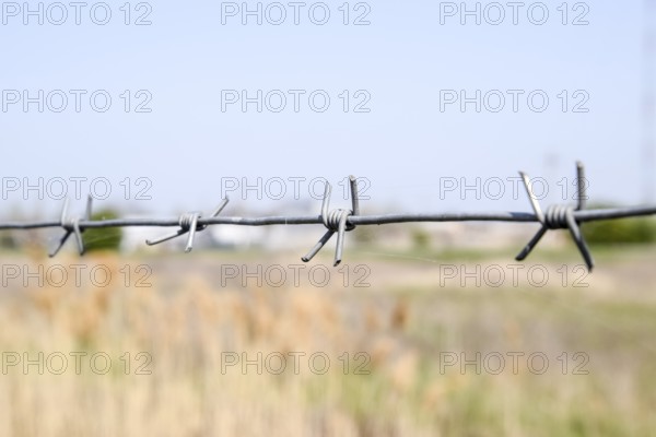 Barbed wire. Barbed wire fencing. Taman, Krasnodar Krai, Russia
