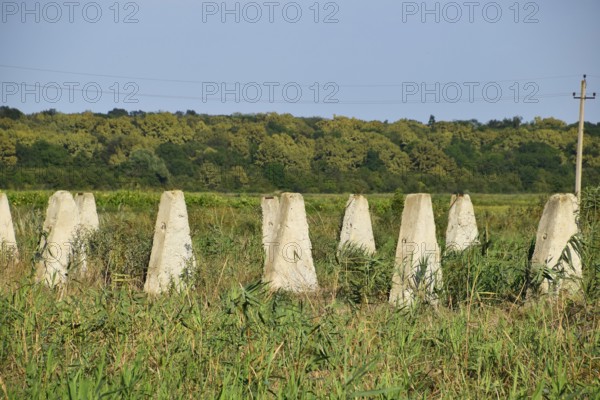 The ruins of the old farm. Cones column base of the wall. Abandoned and ruined buildings