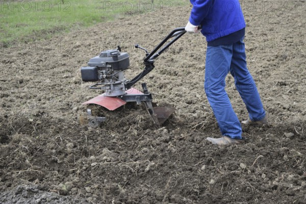 Planting potatoes under the walk-behind tractor. Atyrau, Kazakhstan