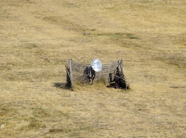 Lamp with a searchlight on the lawn for lighting a high object. Taman, Krasnodar Krai, Russia