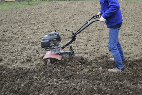 Planting potatoes under the walk-behind tractor. Atyrau, Kazakhstan