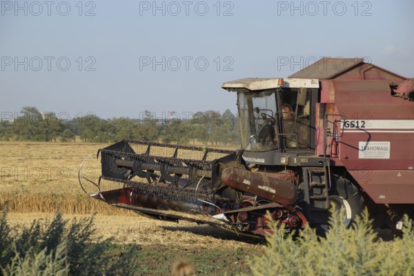 Russia, Poltavskaya village - September 6, 2015: The old combine harvester harvests wheat. Agricultural machinery