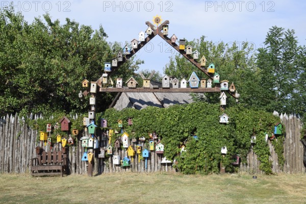 Birdhouses, the houses for birds. Taman, Krasnodar Krai, Russia