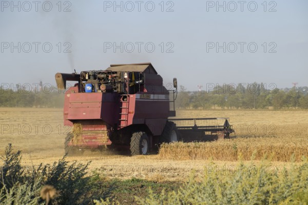 The old combine harvester harvests wheat. Krasnodar, Russia