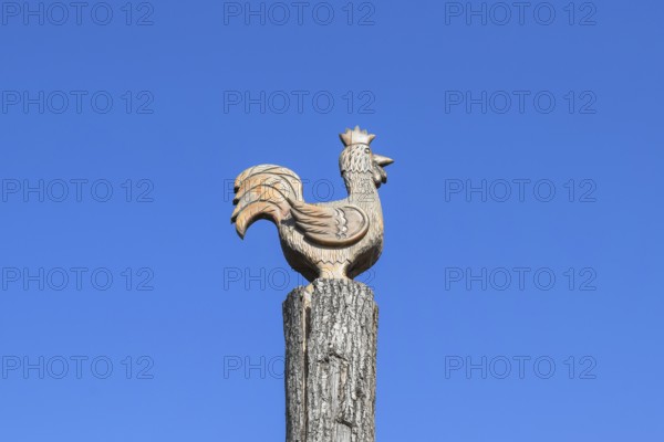 Figurine of a rooster on a tree stump on a background of blue sky. Taman, Krasnodar Krai, Russia