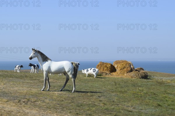 White horse, Figures of horses made of plastic on the lawn. Taman, Krasnodar Krai, Russia
