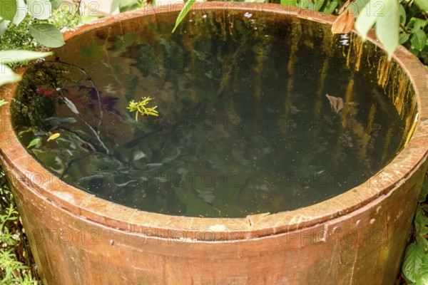 Wooden barrel filled with water. Taman, Krasnodar Krai, Russia