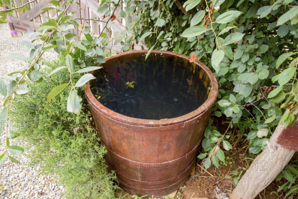 Wooden barrel filled with water. Taman, Krasnodar Krai, Russia