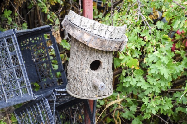 Birdhouses, the houses for birds. Taman, Krasnodar Krai, Russia