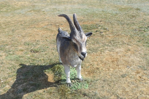 Horny goat toy.Taman, Krasnodar Krai, Russia