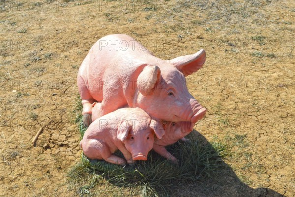 Plastic toy pig. Figures pigs on the lawn