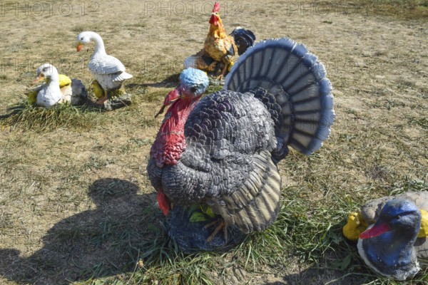 Toy turkeys and chickens in the meadow. Taman, Krasnodar Krai, Russia