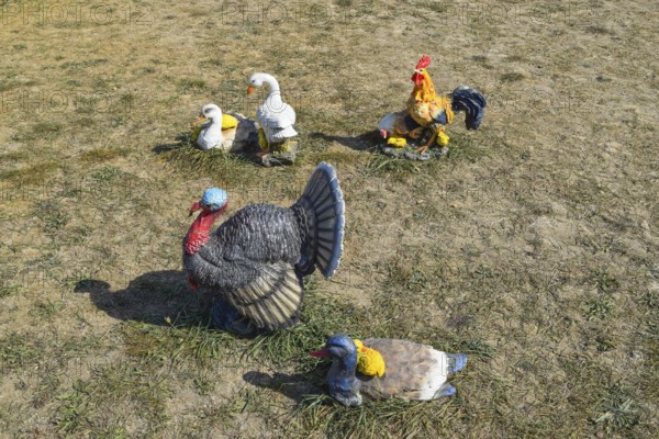 Toy turkeys and chickens in the meadow. Taman, Krasnodar Krai, Russia