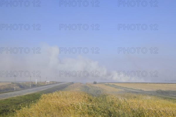 Landscape burning field. Atyrau, Kazakhstan