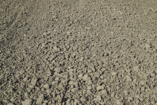 Plowed field, rows from soybean sowing. Atyrau, Kazakhstan