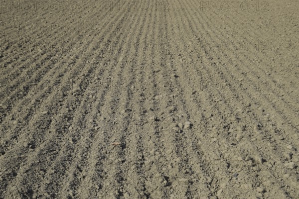 Plowed field, rows from soybean sowing. Atyrau, Kazakhstan