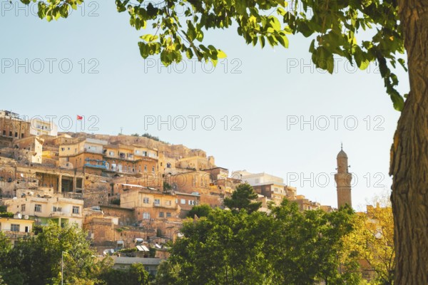 Historic stone houses of Mardin with rising minaret on hillside, framed by tree branches and summer greenery, cultural heritage and Mesopotamian atmosphere