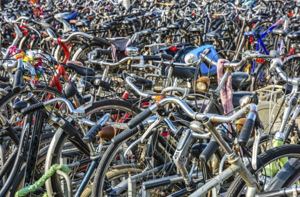 Numerous Bicycles In A Bicycle Parking Area In Amsterdam In The Netherlands