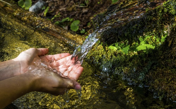 Washing Hands And Catching Fresh Water From A Spring With Clear And Cold Mountain Water, Tyrol, Austria