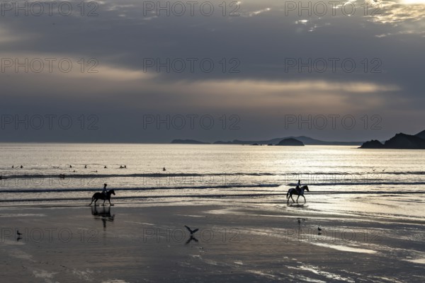 Horse Rider Galopping At Newgale Beach At The Atlantic Coast Of Pembrokeshire In Wales, United Kingdom