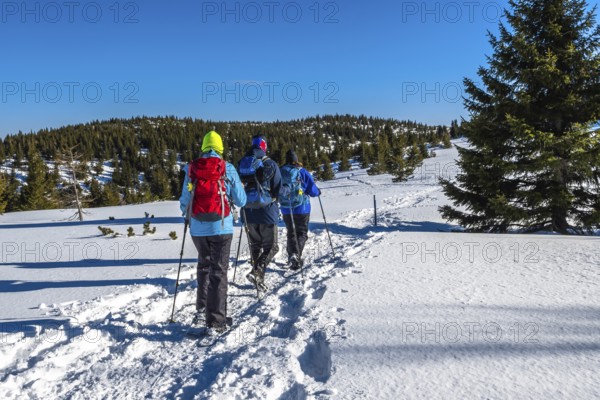 Group Of Sporty Hikers With Snowshoes On A Trail Through Winter Landscape On Mountain Rax In The European Alps In Austria