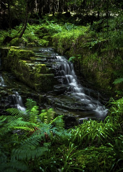 Small Long Exposured Creek With Waterfall In Mystic Forest Near Ullapool In Scotland, United Kingdom