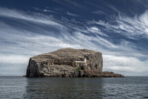 Bass Rock Island With Nesting Northern Gannets (Morus Bassanus) In The Atlantic Ocean Of Firth of Forth At North Berwick Near Edinburgh In Scotland, United Kingdom
