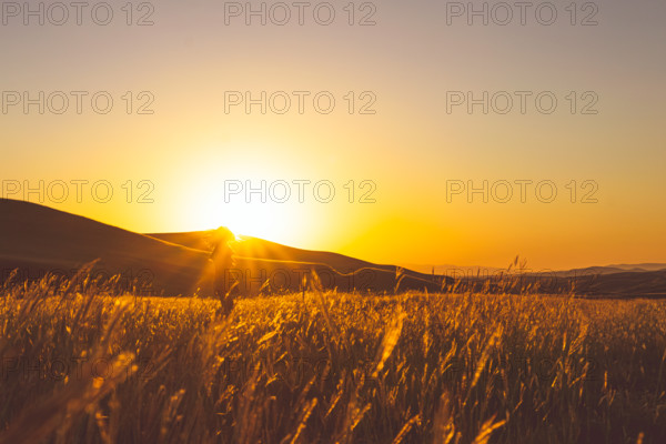 Tranquil Meadow during sunrise with girl in dress. Fields by David Gareji monastery complex