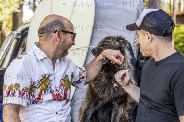Two men and a dog smiling in the back of a pickup truck