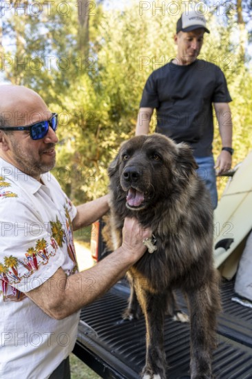 Man petting his happy dog on a surf trip