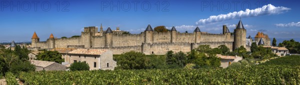 Spectacular Ancient Fortress Of Medieval City Carcassonne And Vineyards In Occitania, France