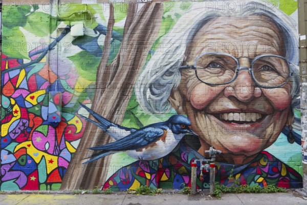 Urban-Art, wall murals, Montreal, Province of Quebec, Canada