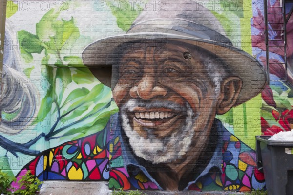 Urban-Art, wall murals, Montreal, Province of Quebec, Canada