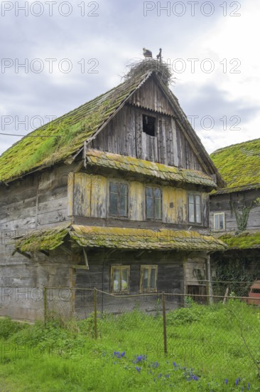 Old dilapidated wooden house, Cigoc, Sisak-Moslavina County, Croatia
