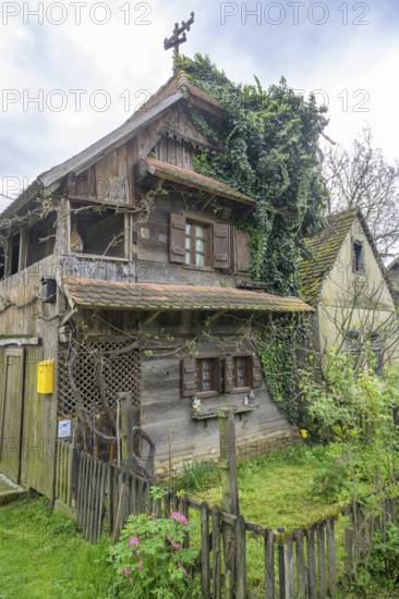Old wooden house overgrown with ivy, Cigoc, Sisak-Moslavina County, Croatia