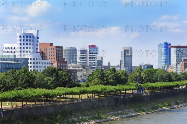 Media Harbour, modern architecture on the Rhine, Düsseldorf, Rhineland, North Rhine-Westphalia, Germany