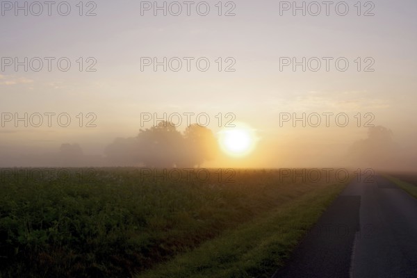 Landscape, morning, fog, sunrise, mood, autumn, road, Germany, The rising sun shines over a field with catch crops