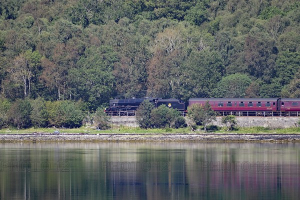 A steam train passes through a wooded area alongside a tranquil body of water, Hogwarts Express, Jacobite Steam Train, Loch Eil, Scotland, Great Britain