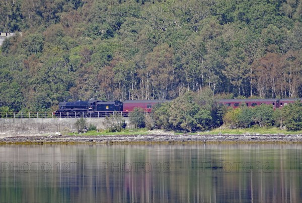 Steam train travelling along a loch, surrounded by dense forest and reflecting water, Hogwarts Express, Jacobite Steam Train, Loch Eil, Scotland, Great Britain