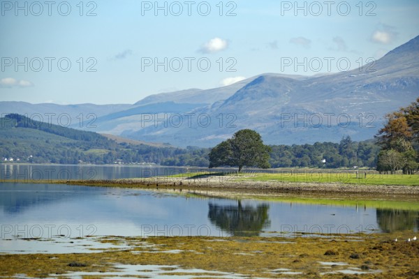A tranquil loch surrounded by mountains with a peaceful natural landscape in the background, Loch Eil, Ben Nevis, Scotland, United Kingdom