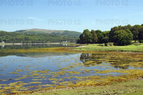 A still loch reflects the blue sky and surrounding green landscape, Loch Eil, Scotland, United Kingdom