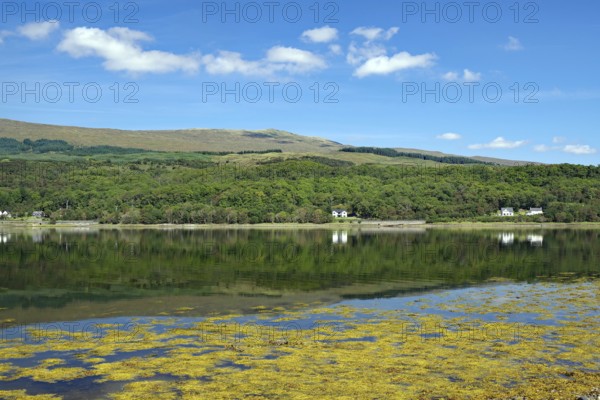 A clear mountain loch reflects the surrounding green hills and blue sky, Loch Eil, Scotland, United Kingdom