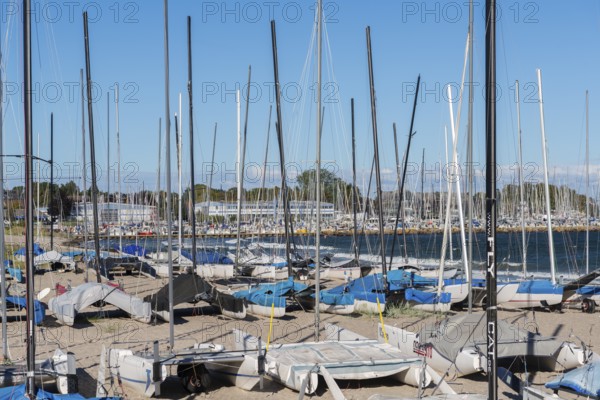 Catamarans on the beach, Strande near Kiel, Rendsburg-Eckernförde district, Baltic Sea, behind the marina, sailing, leisure activities, water sports, seashore, sandy beach, summer, ship masts, blue sky, sunshine, Bay of Kiel, Schleswig-Holstein, Germany