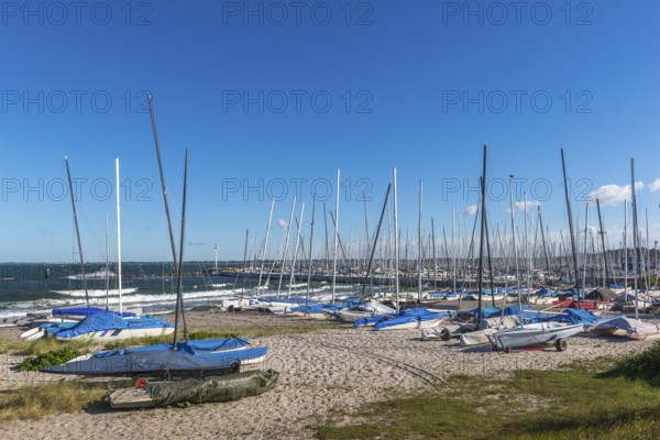 Catamarans on the beach, Strande near Kiel, Rendsburg-Eckernförde district, behind the Olympic and yacht harbour of Kiel-Schilksee, Baltic Sea, sailing, leisure activities, water sports, seashore, sandy beach, summer, ship masts, blue sky, sunshine, Bay of Kiel, Schleswig-Holstein, Germany